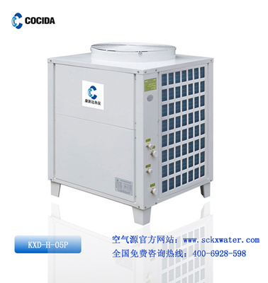 引领未来，连接智慧——卓越网络咨询服务公司