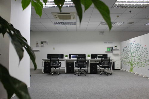 网页设计新篇章 百创互联如何以优质服务引领网络咨询新趋势