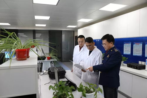 大数据驱动的定制化监测 如何利用软件开发高效发掘与研判网络食品安全案件线索
